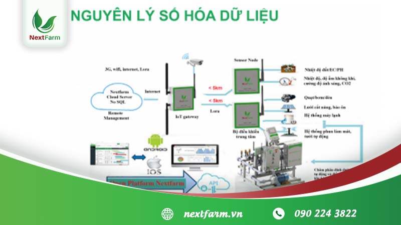 Next Farm triển khai hệ thống cảnh báo môi trường cho nông nghiệp tại nhà lưới Yên Dũng Bắc Giang