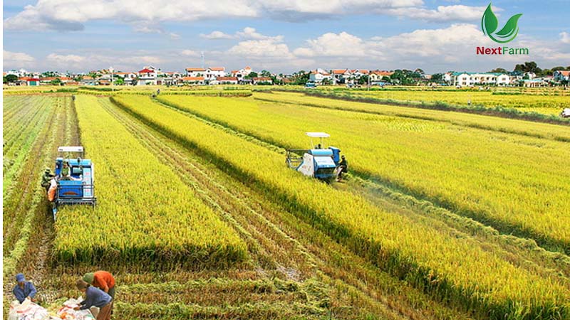 Hệ thống Nông nghiệp thông minh ở Việt Nam cơ hội và thách thức