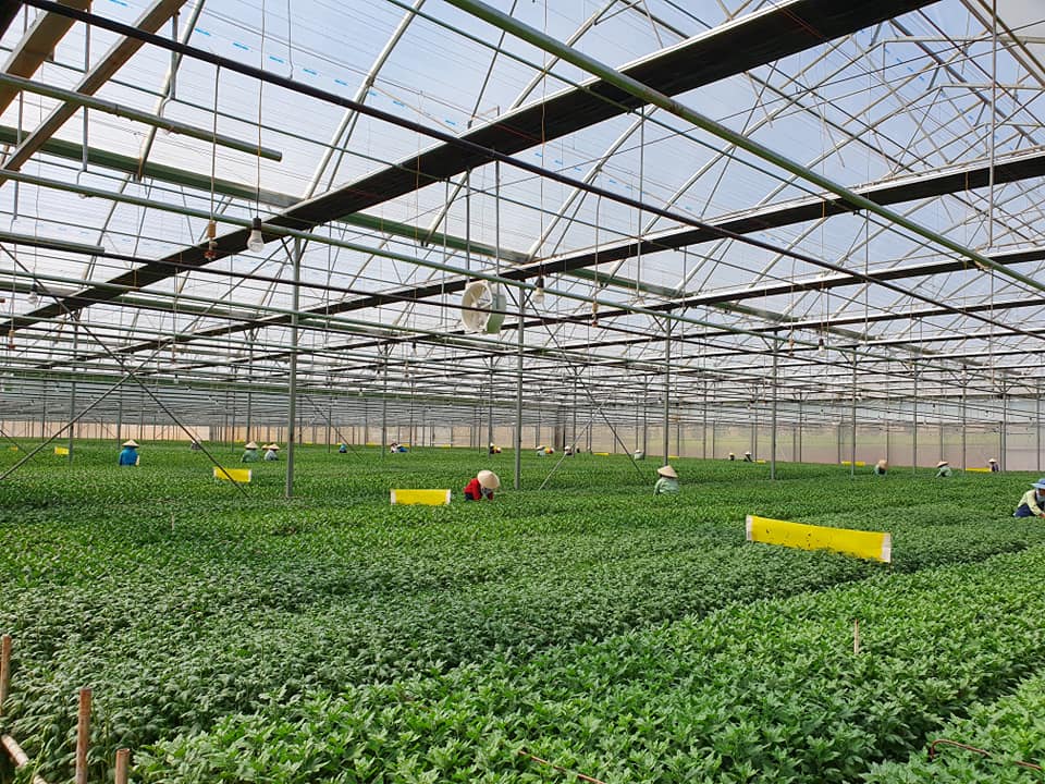 Giải pháp nông nghiệp thông minh Nextfarm - quan trắc và điều khiển vi khí hậu