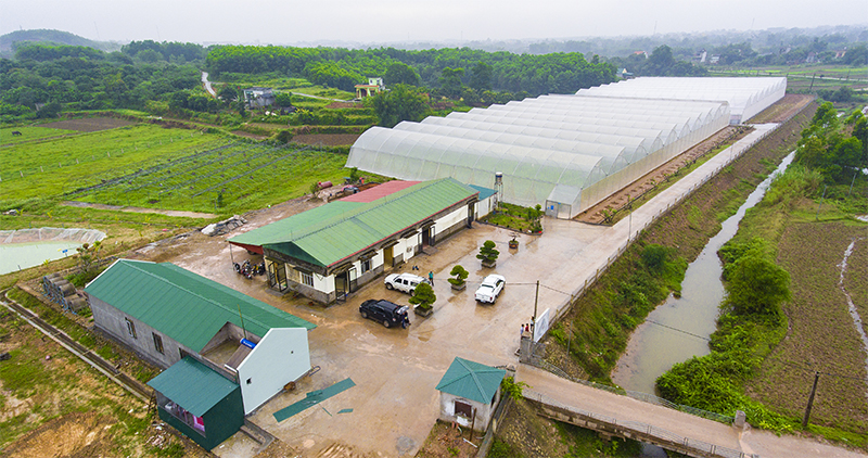 Nextfarm triển khai Giải pháp Nông nghiệp thông minh cho Rau sạch Quảng Tân Đầm Hà Quảng Ninh