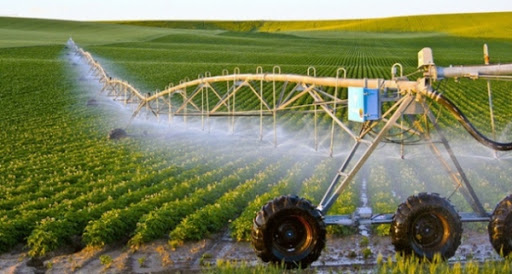 Nông nghiệp công nghệ cao