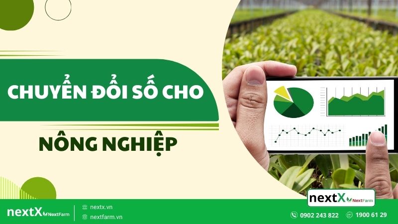 Chuyển đổi số cho nông nghiệp là gì? Top đơn vị làm chuyển đổi số cho Nông nghiệp tại Việt Nam