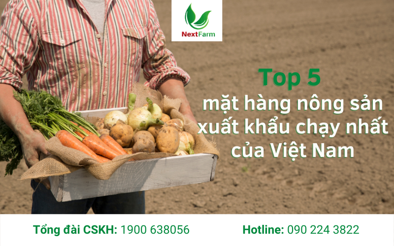 Top 5 mặt hàng nông sản xuất khẩu chạy nhất của Việt Nam